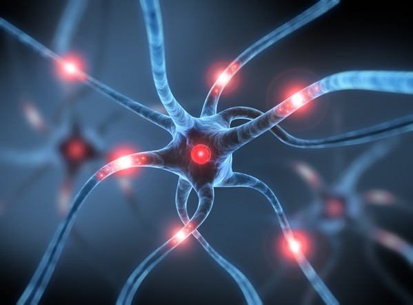 Neuronen