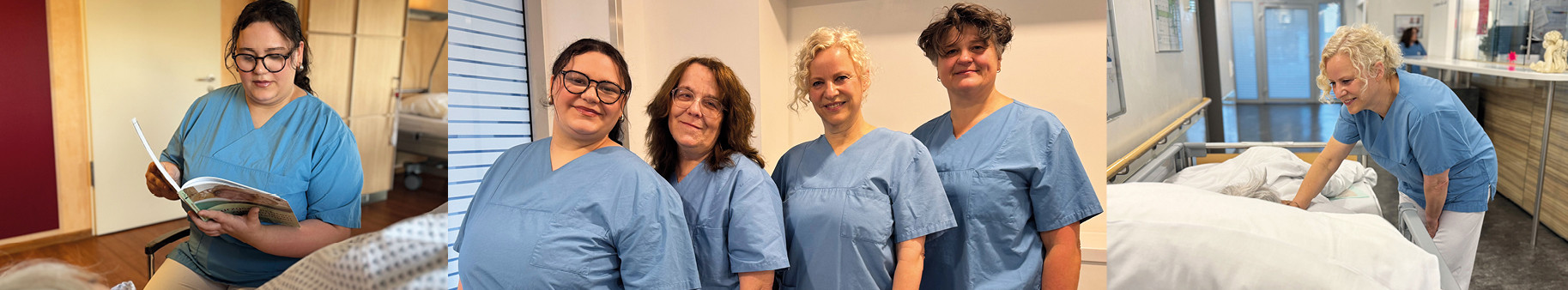 Header Orientierungshilfe