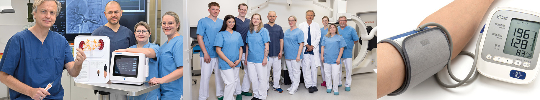 Header Renale Denervation