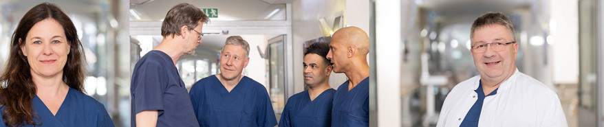 Header Praktisches Jahr